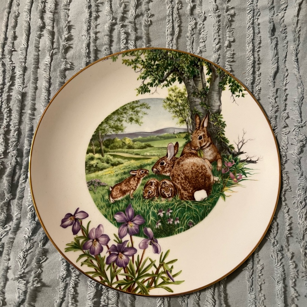 “Eastern cottontail rabbit “by Southern living Gallery. Plate number 8974.